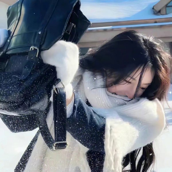 狼少女与黑王子